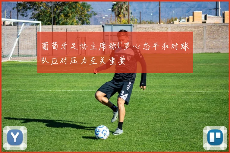 葡萄牙足协主席称C罗心态平和对球队应对压力至关重要