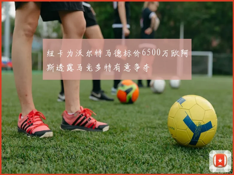 纽卡为沃尔特马德标价6500万欧阿斯透露马竞多特有意争夺