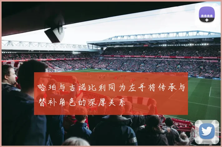 哈珀与吉诺比利同为左手将传承与替补角色的深厚关系