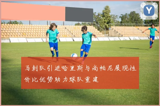 马刺队引进哈里斯与尚帕尼展现性价比优势助力球队重建